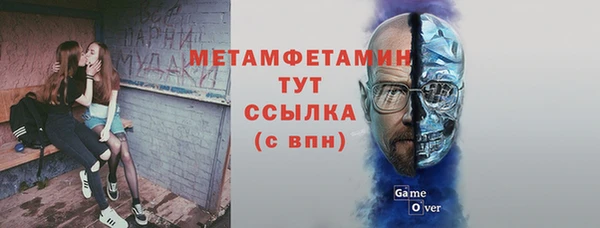 молекула духа Мегион