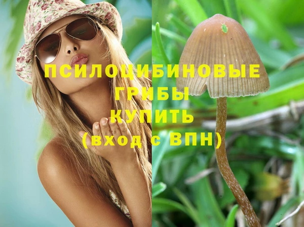 ALPHA PVP Медногорск