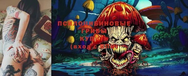 ALPHA PVP Медногорск