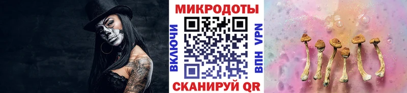 Галлюциногенные грибы Psilocybine cubensis  blacksprut как зайти  Бийск 