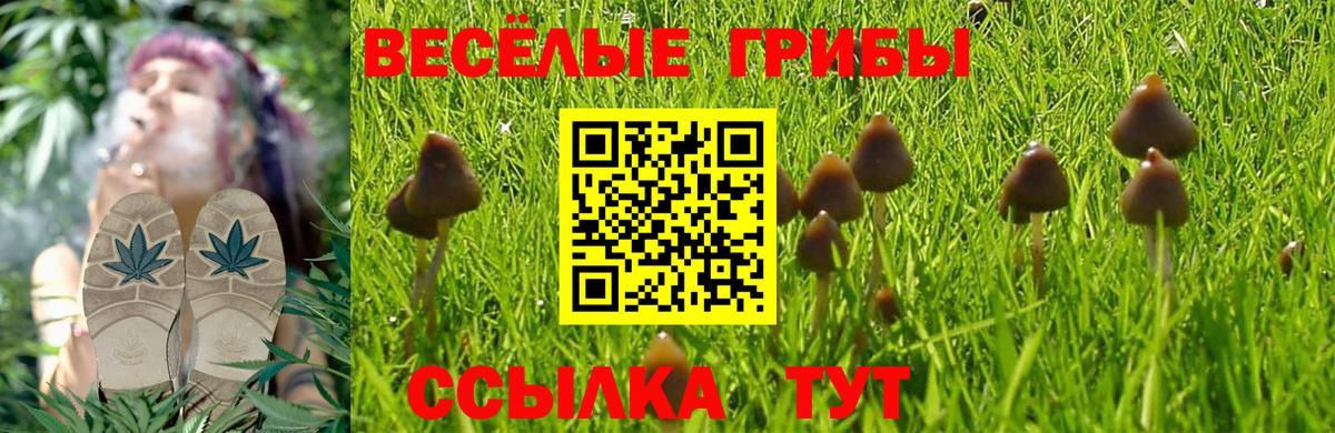 Галлюциногенные грибы мицелий  Вход с VPN  Бийск 