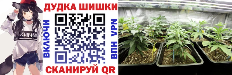 Шишки марихуана Amnesia закладка Бийск